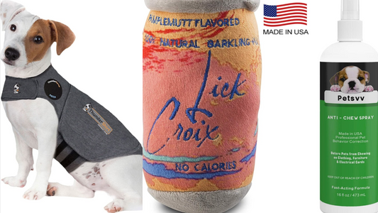 12 Amazon Products Every Good Dog Parent Swears By