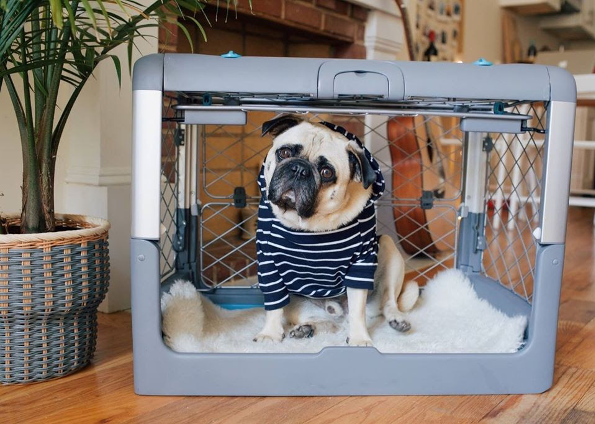 Ginny top pet crate