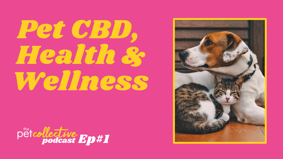 The Pet Collective Podcast Episode 1: CBD, Health and Wellness