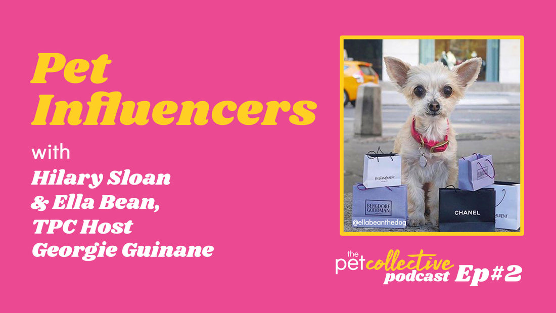 The Pet Collective Podcast Episode 2: Pet Influencers with Hilary Sloan, Ella Bean and TPC Host Georgie Guinane