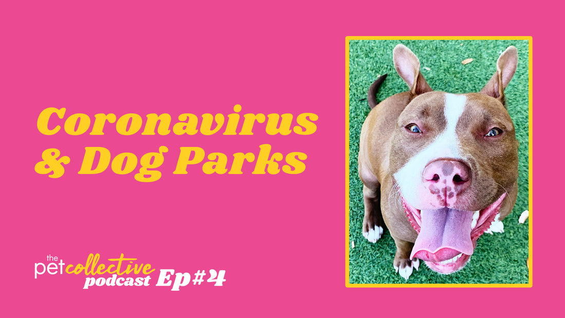 The Pet Collective Podcast Episode 4: Coronavirus & Dog Parks