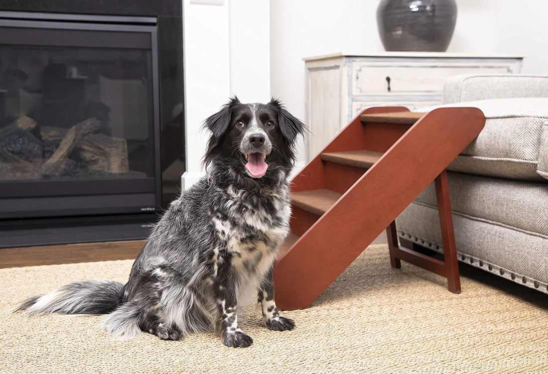 These Adorable Stairs Make it Easier for Doggos to Hop in Bed With You